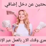 الدخل الاضافي